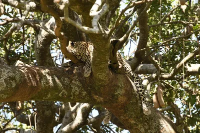 DSC_3951 (Large).JPG